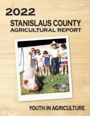 STANISLAUS COUNTY PLANNING COMMISSION STAFF REPORT - APPLICATION  INFORMATION 1
